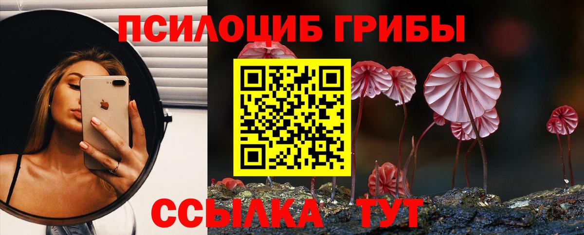 Псилоцибиновые грибы GOLDEN TEACHER  Вход с VPN  Иркутск  Псилоцибиновые грибы ЛСД 