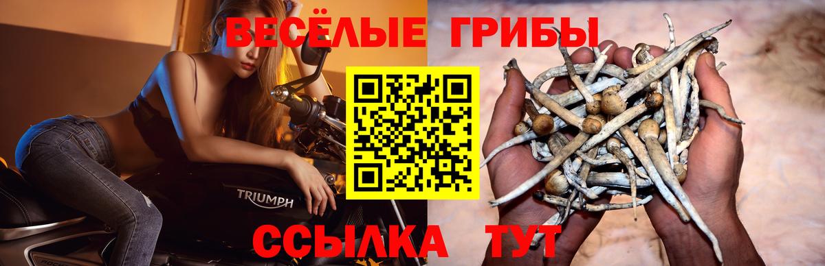Галлюциногенные грибы MAGIC MUSHROOMS Иркутск